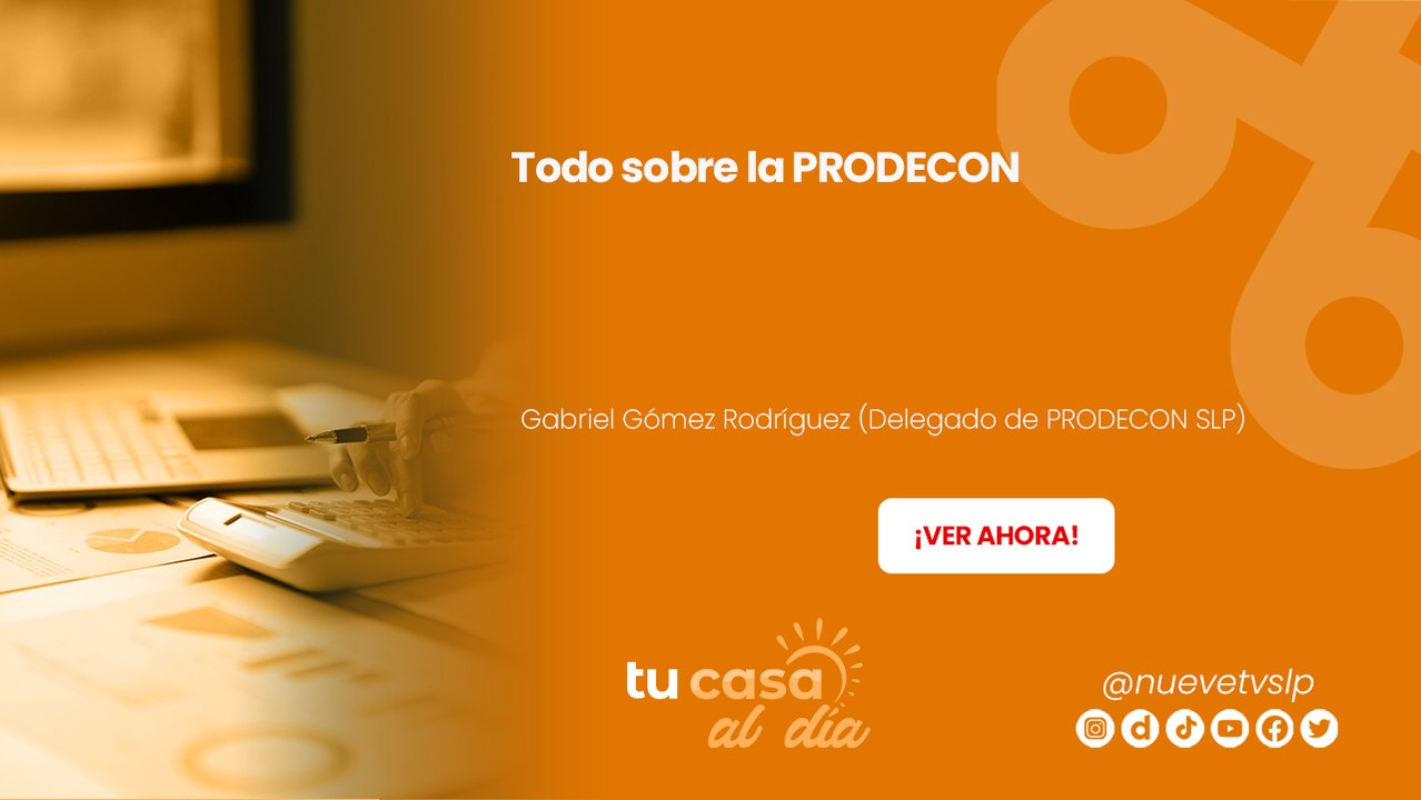 Todo sobre la PRODECON