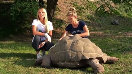 100 jours au Zoo_ que d'émotions aux côtés des soigneurs!