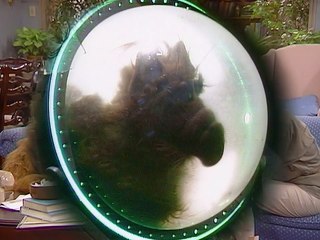 ALF - S01E16 - Intentando recordar (Primera parte)