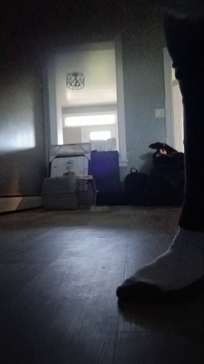 JUST A DANCE