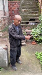 Funny Videos #shorts #shortsfeed #shortsbeta