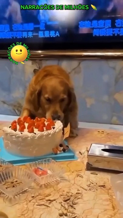 Começou!!