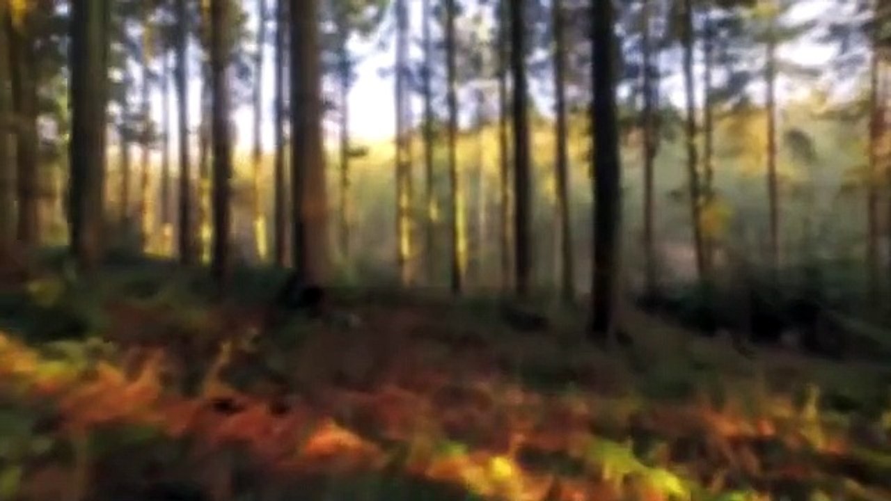 An Angels Cry (Big Room Mix Peter Tanico E39 NYC Productions)