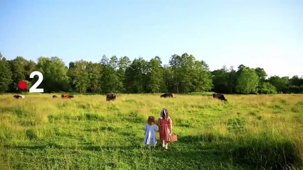 Complément d’enquête - 24 octobre