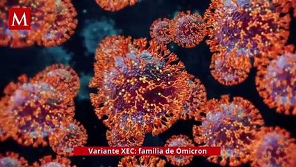 ¿Tienes estos síntomas? Esta es la nueva variante de Covid que podría predominar en invierno