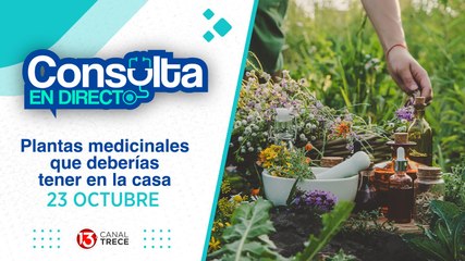 23 Octubre 2024 | Consulta en Directo - Plantas Medicinales