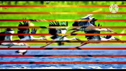 Ei sundor sunil akash - bangla new gojol - islamic song