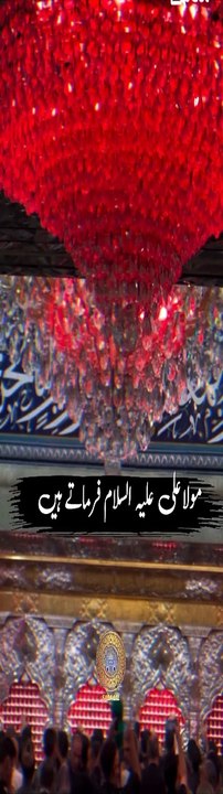 Mola Ali Aleh Salam فرمان مولا علی علیہ سلام #status #reels #shorts #video #new #news #whatsappstatus