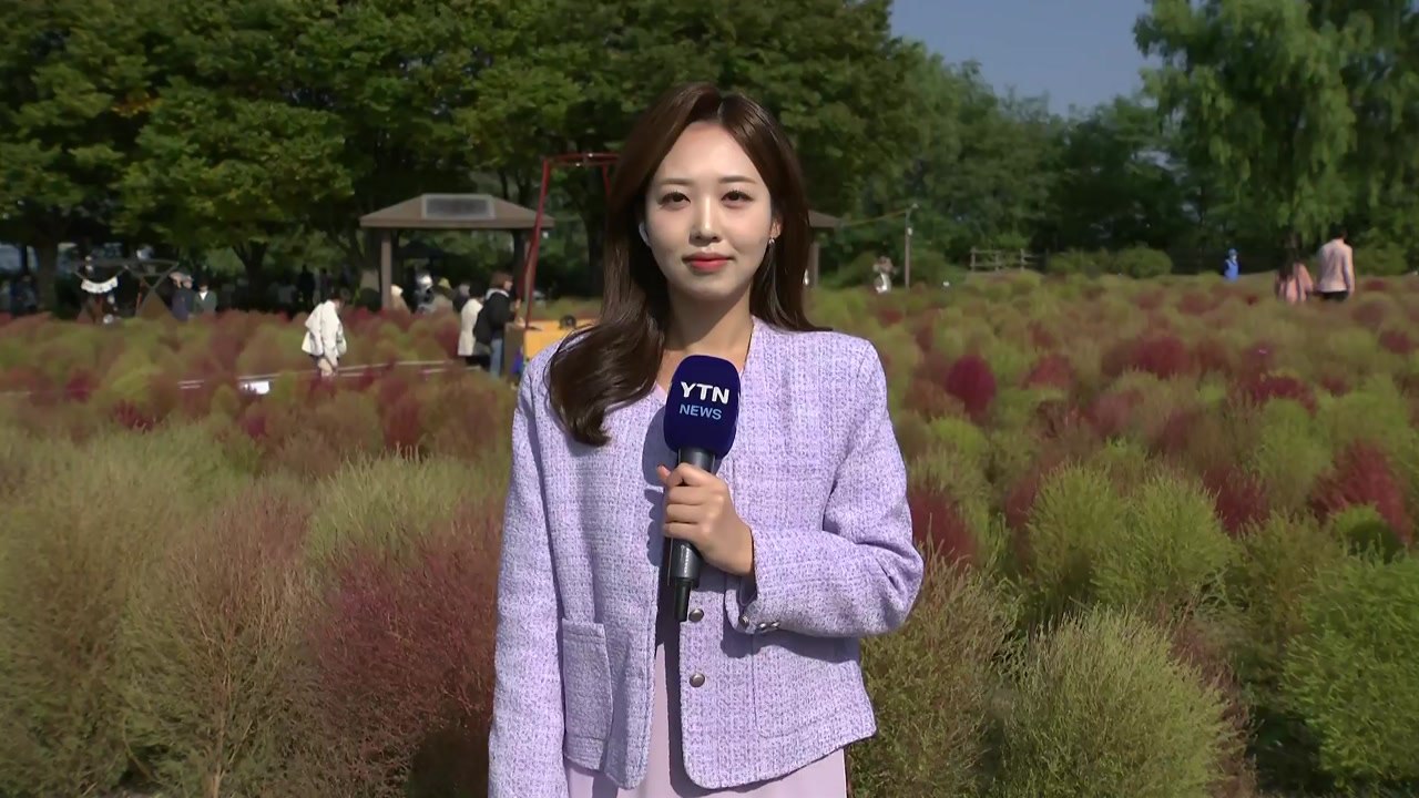 [날씨] 청명한 가을 날씨...깊어가는 가을, 큰 일교차 주의 / YTN