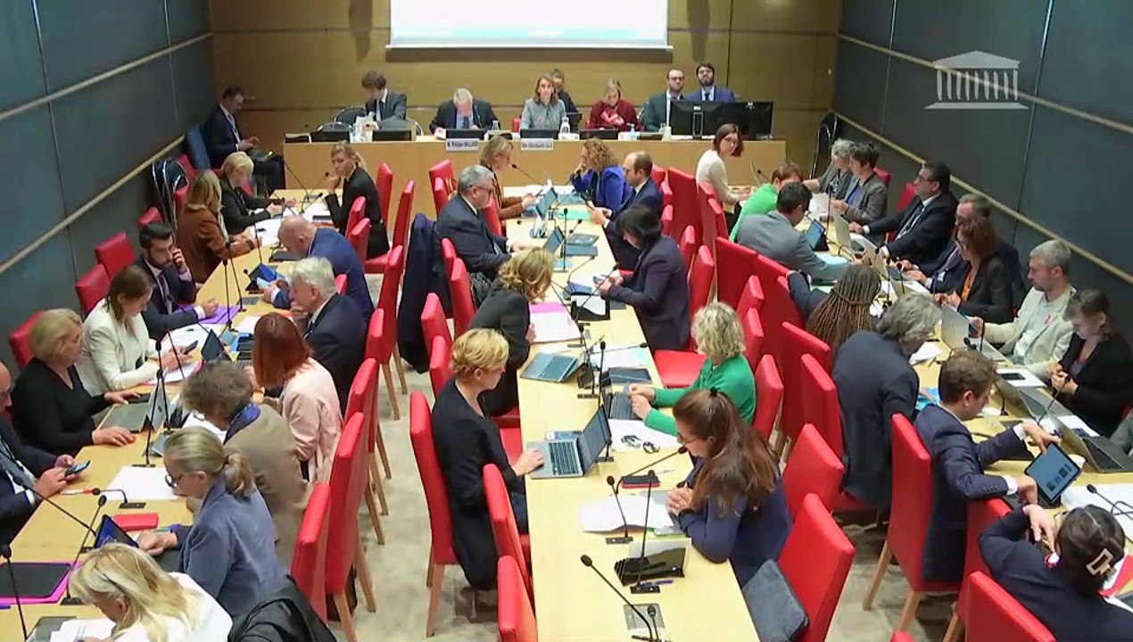 Commission des affaires culturelles : Projet de loi de finances pour 2025 (seconde partie) - Mercredi 23 octobre 2024