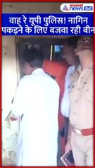 वाह रे यूपी पुलिस! नागिन पकड़ने के लिए बजवा रही बीन