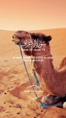 Surah Al Araf Quran translation urdu and hindi