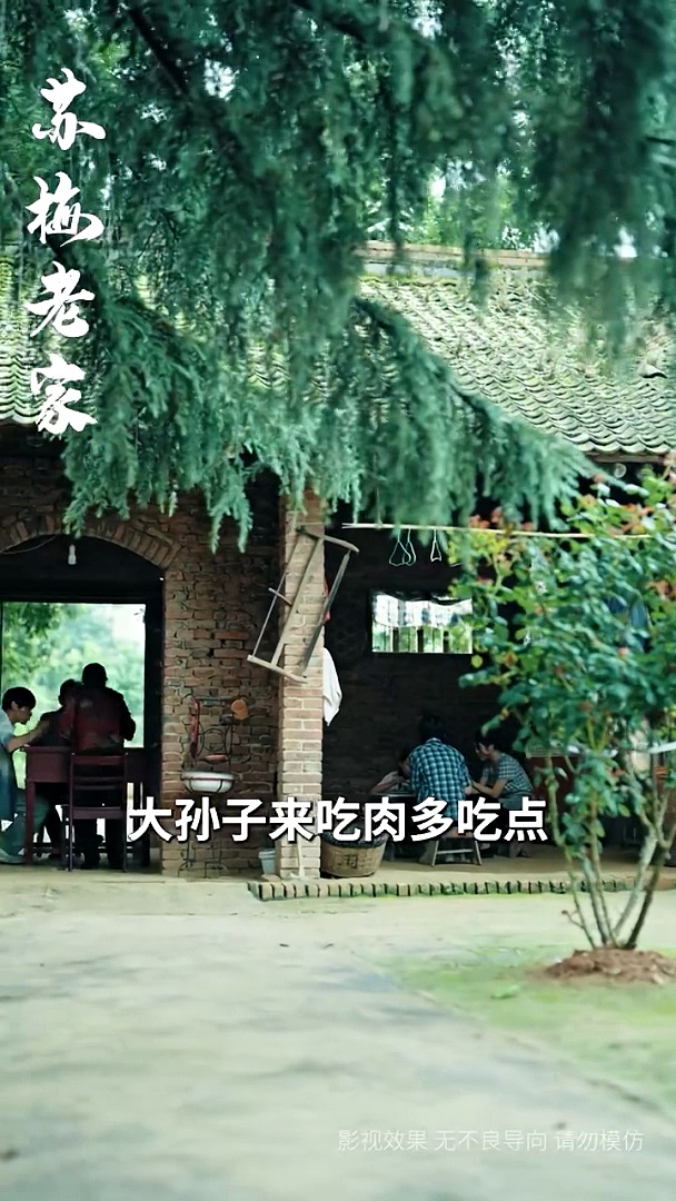 Plum Blossom's Fragrance Comes from the Cold