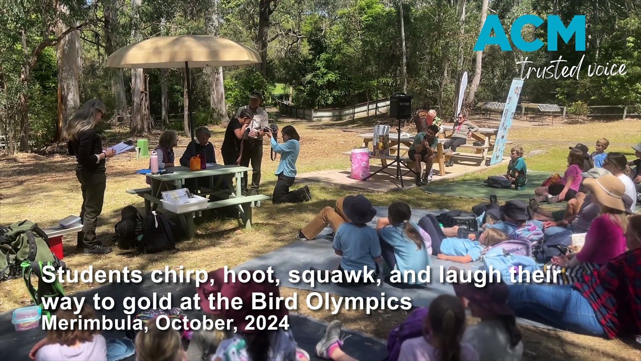Students chirp, hoot, squawk and laugh their way to gold at the Bird Olympics