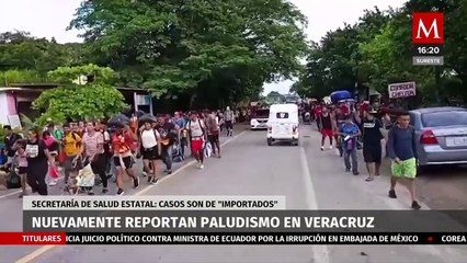 Se reportan casos de paludismo en migrantes en Veracruz
