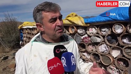 Bitlis'te Dünyaca Ünlü Karakovan Balının Hasadı Devam Ediyor