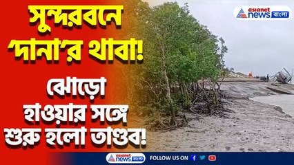 চোখ রাঙাচ্ছে ঘূর্ণিঝড় ‘দানা!’ সুন্দরবনে শুরু ঝড়-বৃষ্টি! আতঙ্কে স্থানীয় বাসিন্দারা
