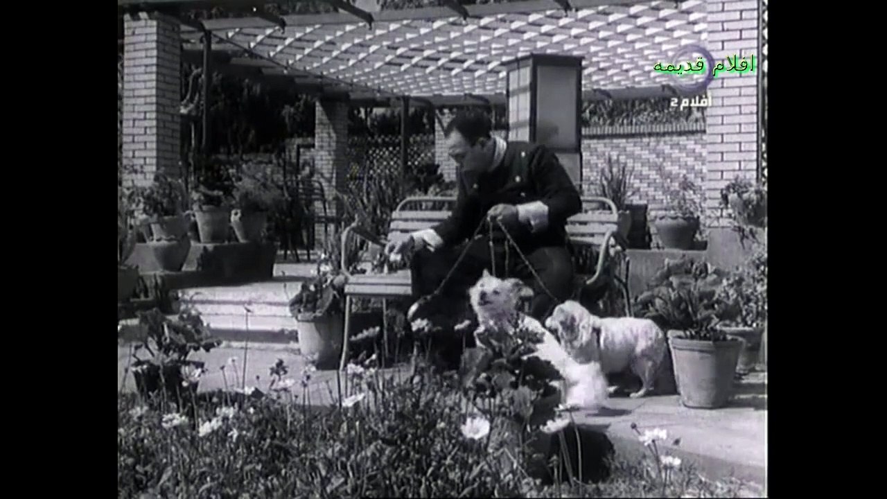 فيلم ( المليونير الفقير ) بطولة - إسماعيل يس - مشاهدة افلام عربي جودة HD