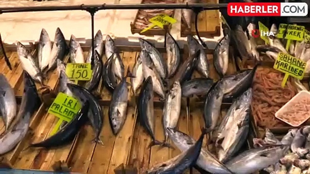 Bandırma Balık Hali'nde Palamut Bolluğu Yaşanıyor