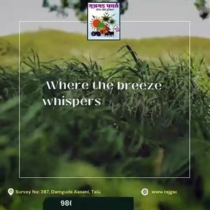 One Day Picnic Spot Near Pune | One Day Trip Packages Near Pune - Rajgad Farms