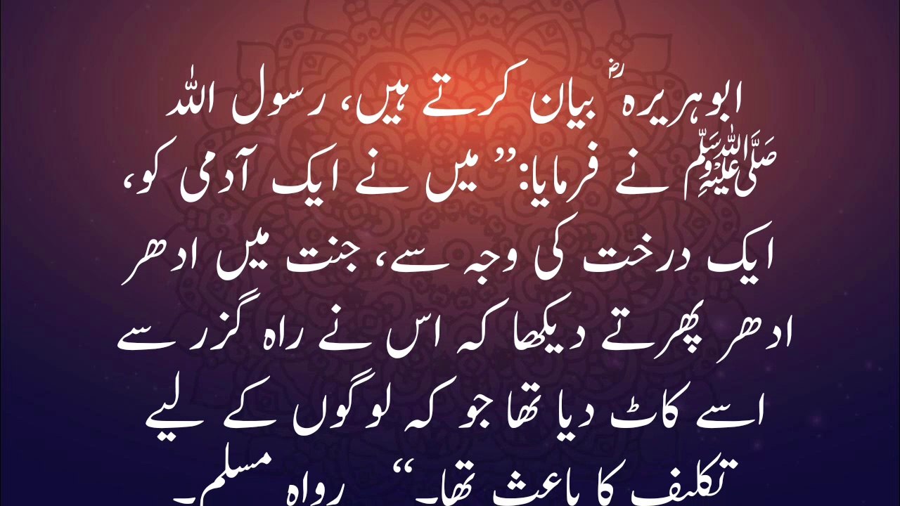 ye kam Karo Tum Salamti ke sath Jannat mein dakhil ho jaaoge | hadees nabvi ﷺ | a n islamic center