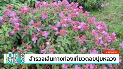 น้ำตกตาดจวง กลางป่าภูเมี่ยง-ภูทอง | เป็นข่าวเล่าเรื่อง | 24 ต.ค. 67 | PART 2