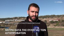 Ευλογιά των προβάτων: Απαγορεύεται η μετακίνηση αιγοπροβάτων για δέκα ημέρες