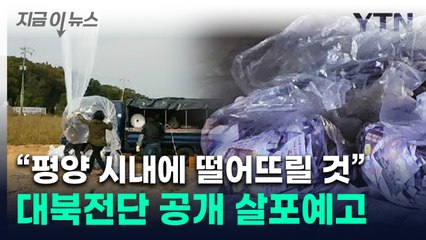 "2번이고 3번이고 평양으로"...납북자단체, 대북전단 살포 예고 [지금이뉴스] / YTN