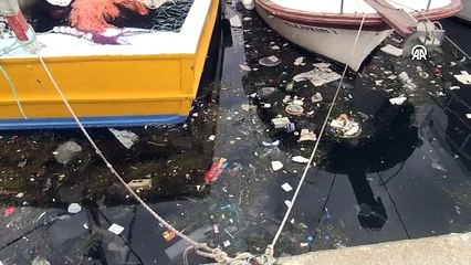 Plastik atıklar denizlerde biyoçeşitliliği olumsuz etkiliyor