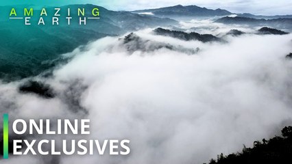 Amazing Earth: Have a quick adventure escape at Caza Peregrine! (Online Exclusives)