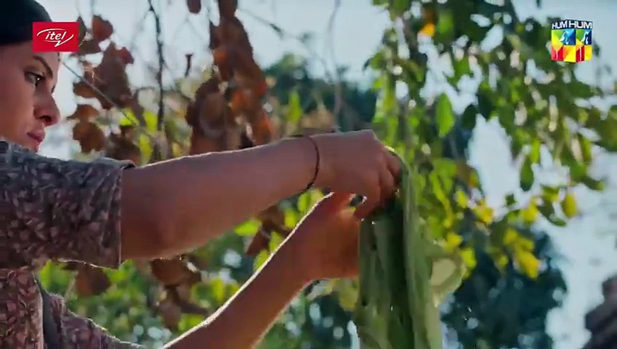 Parizaad Episode 2