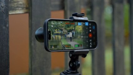 Capture Stunning Details with the Super Telephoto 240mm Lens 📸