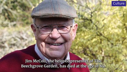 Latest Celebrity Updates – October 24, 2024 🌟