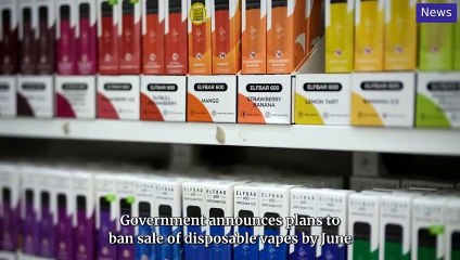 National World Top Stories Update 24 October, 2024