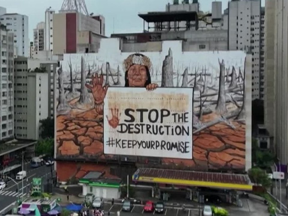 Aktivist malt riesiges Gemälde mit Asche aus dem Amazonas