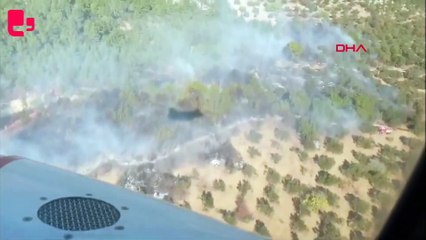 İzmir Kınık'ta orman yangını