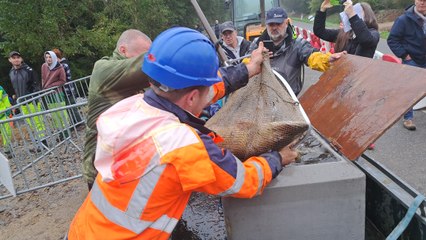 Pêche miraculeuse à Loudeac le 24 octobre 2024