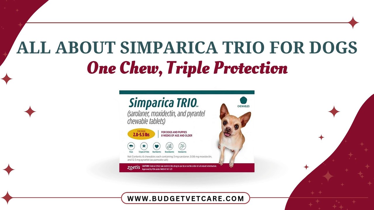 AllinOne Parasite Protection for Dogs Discover "Simparica Trio