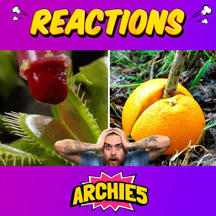 You Won’t Believe These Plant Hacks!  The Dudes REACT to 5-Minute Crafts Plant and Insect Hacks!