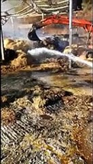 Atri, rogo in un'azienda agricola