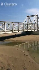 Veloce e sinuosa, ecco la biscia del Calvano