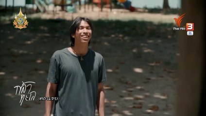 กล้าทะเล ตอนที่ 12 (EP.12) วันที่ 26 ตุลาคม 2567  ย้อนหลัง