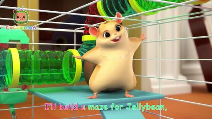 Hamster vs Maze  Hamster's Great Escape!  + MORE Kid Tv Nursery Rhymes & Kids Songs