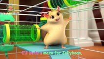 Hamster vs Maze  Hamster's Great Escape!  + MORE Kid Tv Nursery Rhymes & Kids Songs