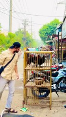 "You Didn't See That Coming: Funniest Unexpected Reactions!"