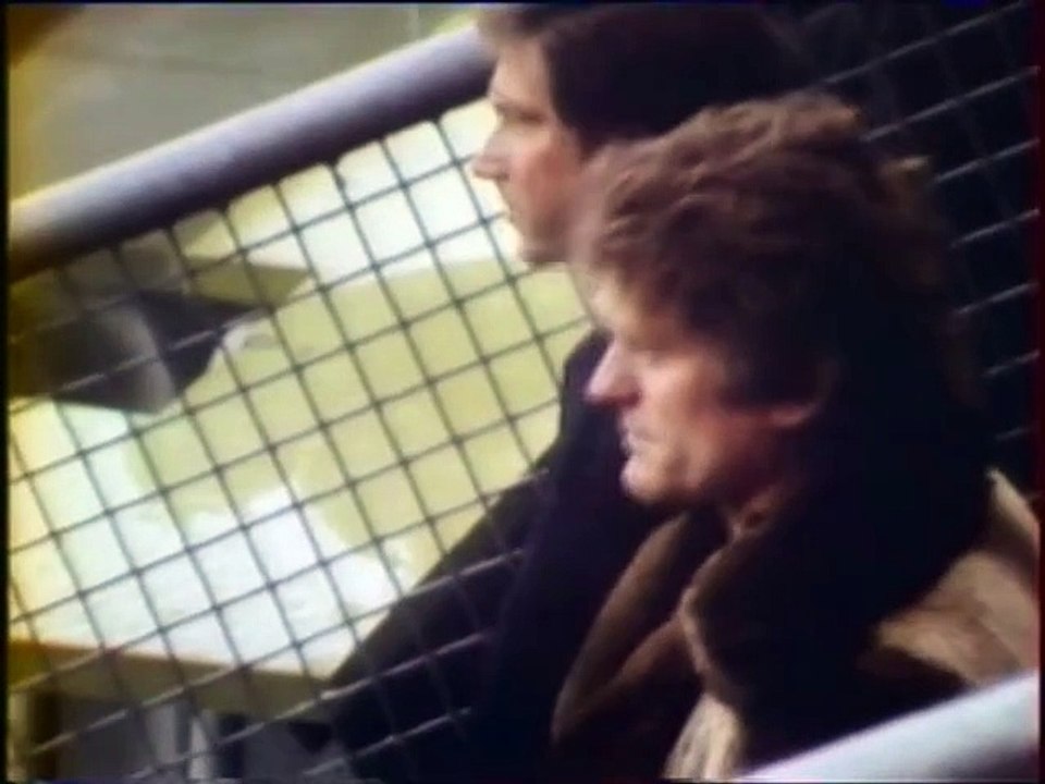 CHAMPIONNAT  D' ALLEMAGNE  -  1981  -  SAISON  1980/1981 -