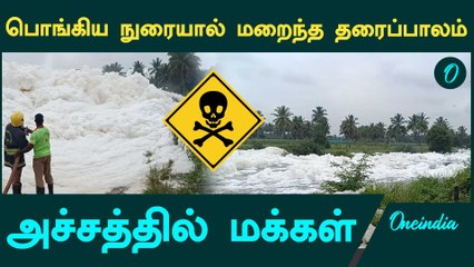 தென்பெண்ணை ஆற்றில் தொழிற்சாலை கழிவுகள்  | Oneindia Tamil