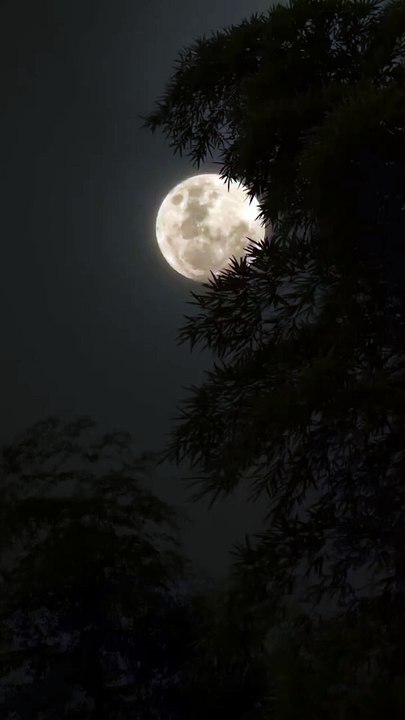 chand chupa badal mai