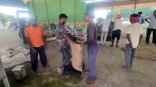 समर्थन मूल्य पर चार करोड़ 50 लाख 98 हजार 649 रुपए की किसानों से खरीदी गई मूंग