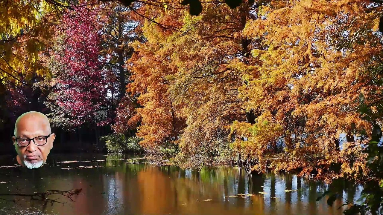 You are the center of your Universe.